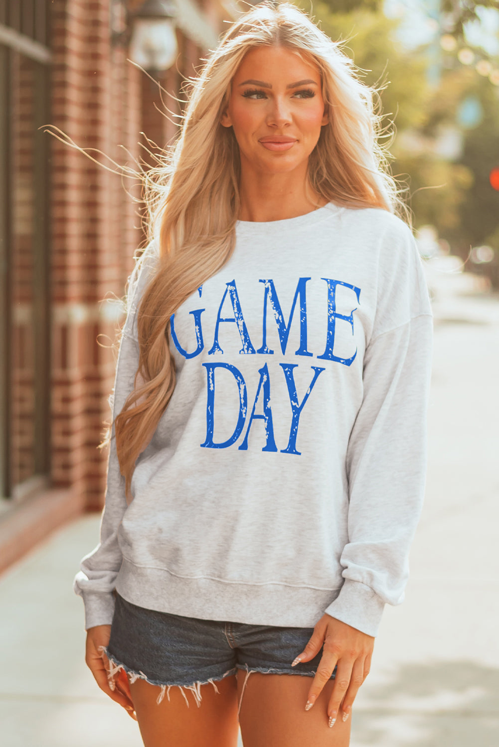 🏈 Vintage Victory Sweatshirt💙